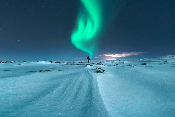 Northern Lights Small-Group Tour with Free Photos & Hot Chocolate - Who should book this tour, and who might want another option?