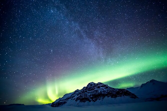 Northern Lights Small-Group Tour with Free Photos & Hot Chocolate - Should you book this Northern Lights tour from Reykjavik?