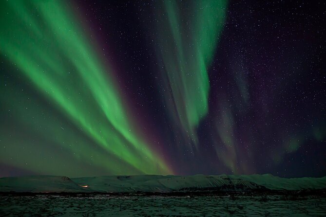 Northern Lights Tour from Husavik - Price and value: is $173.64 per person fair for this kind of aurora hunt?