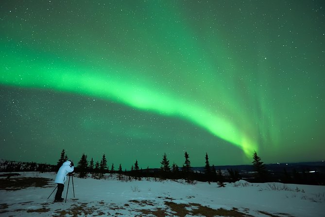 Northern Lights Tour from Reykjavik with Lifetime Guarantee - Quick hits before you go