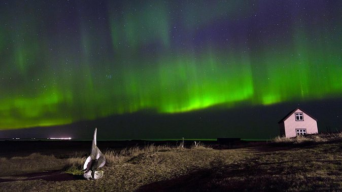 Northern Lights Tour from Reykjavik with Lifetime Guarantee - Meeting points and getting picked up without stress