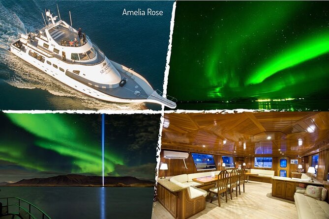 Northern Lights Yacht Cruise in Reykjavik - The Yacht Experience: Warm Cabin, Deck Photos, and a Real Bar