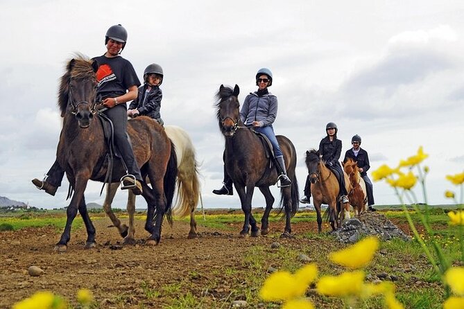 One-Hour Horseback Riding Tour in the Icelandic Countryside - Key highlights worth planning for