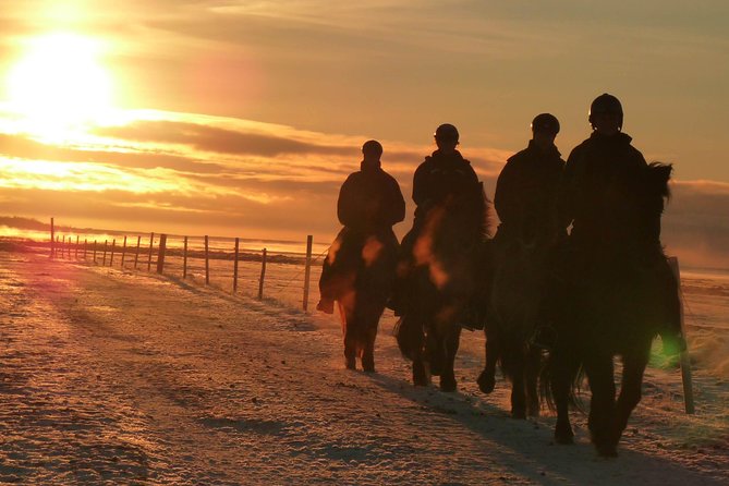 One-Hour Horseback Riding Tour in the Icelandic Countryside - Why this 1-hour horseback ride makes sense in South Iceland