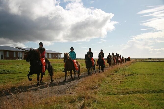One-Hour Horseback Riding Tour in the Icelandic Countryside - Practical tips to get more out of the hour