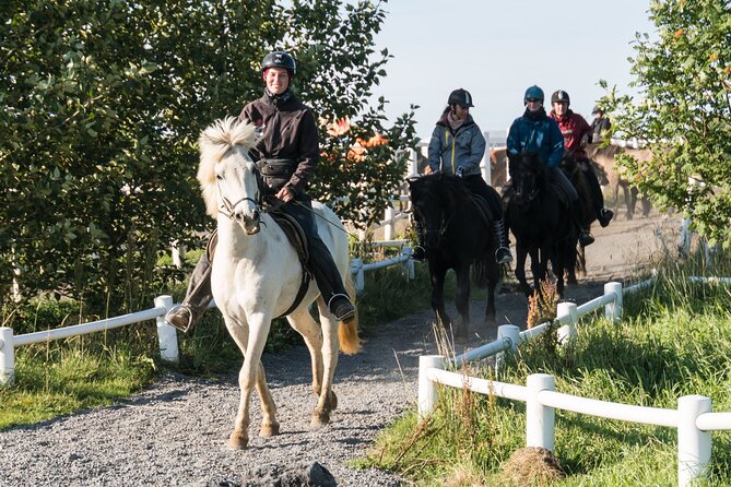 One-Hour Horseback Riding Tour in the Icelandic Countryside - Getting started at Hótel Eldhestar in Ölfus