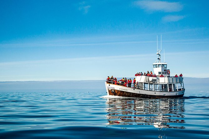 Original Carbon Neutral Whale Watching Tour from Húsavík - Motion, cold, and how to dress so the trip stays fun