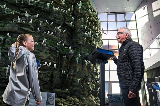 Perlan - Wonders of Iceland Experience - Ice cave and lava-style displays: the indoor Iceland moment