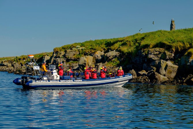 Premium Small-Group Puffin & Bird Watching tour from Reykjavík - Binoculars, seating, and photo tips that actually matter on the water