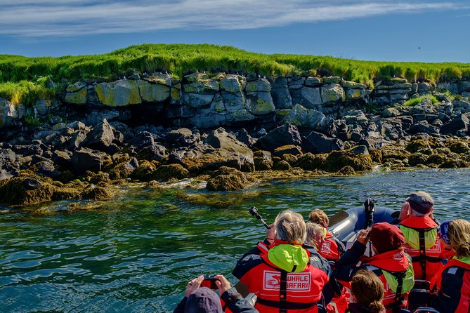 Premium Small-Group Puffin & Bird Watching tour from Reykjavík - Weather, clothing, and why this tour works even when the sky changes