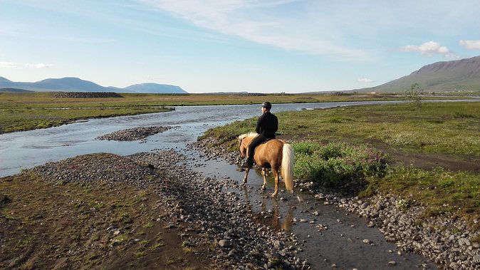 Private 3-Hour Horseback Riding Tour - Key Things to Know Before You Go
