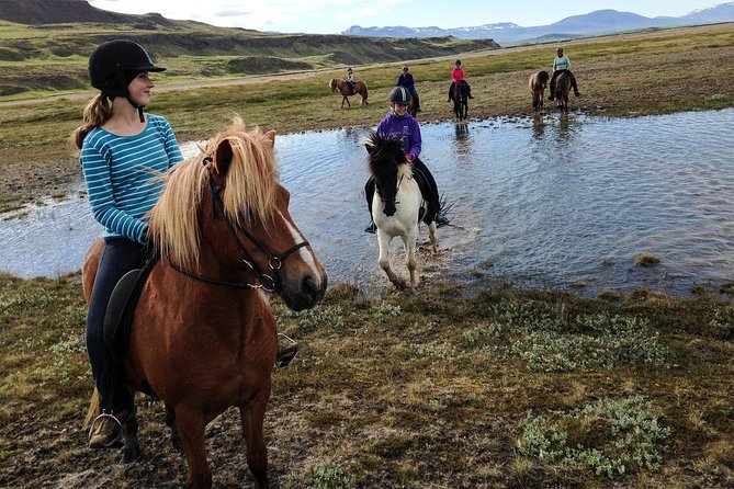 Private 3-Hour Horseback Riding Tour - The 3-Hour Route: Waterfalls and Glacier Rivers (Plus Wildlife Stops)