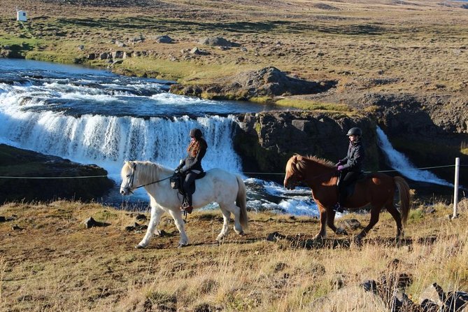Private 3-Hour Horseback Riding Tour - Riding Skills and Comfort: What “Moderate Fitness” Means on a Horse