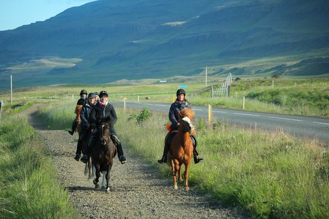 Private 3-Hour Horseback Riding Tour - English Guidance and Real Horse Care: You Learn While You Ride