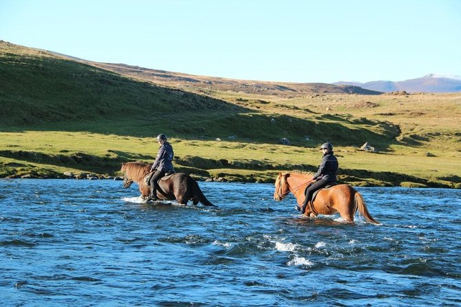 Private 3-Hour Horseback Riding Tour - Private Tour Value: What You Get for $230.45