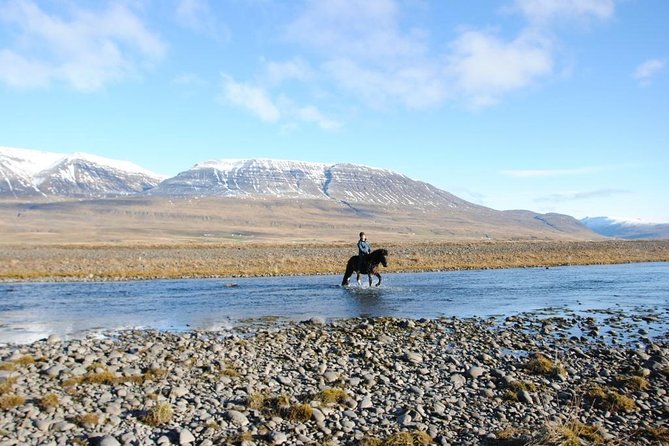 Private 3-Hour Horseback Riding Tour - Icelandic Horses: Why the Tölt Makes This Different
