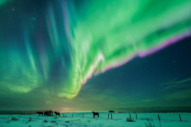 Private Aurora Hunt with Photos in Super Defender - Who this aurora hunt suits best, and who should think twice