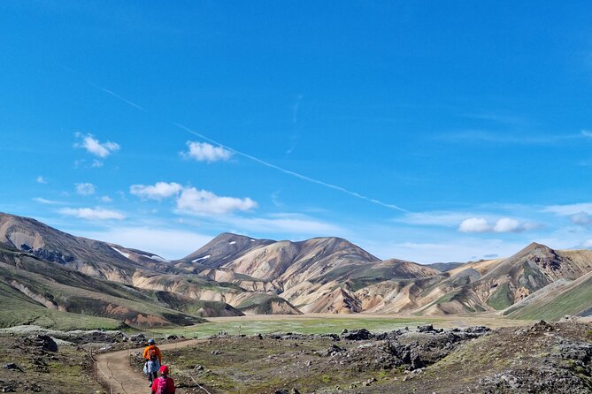 Private Day Trip in Landmannalaugar South Region area on a 4x4 truck - Private pickup and a 4x4 truck: the point of this day trip