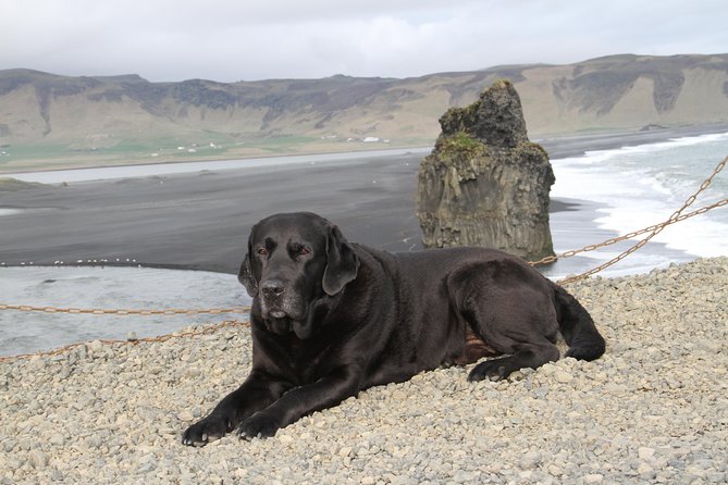 Private Day Trip to the Icelandic South Coast from Reykjavik - Why This 10-Hour South Coast Day Works From Reykjavik