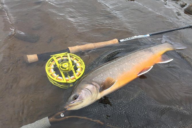 Private Fishing Tour from Reykjavik - Arctic Char and Brown Trout - Your catch goals, and what success can look like