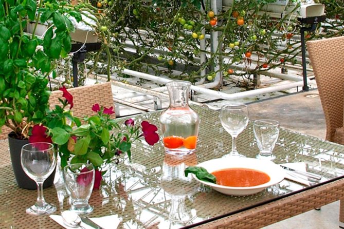 Private Golden Circle, Sky Lagoon and Friðheimar Greenhouse Lunch - Friðheimar Tomato Greenhouse lunch: lunch inside a working farm