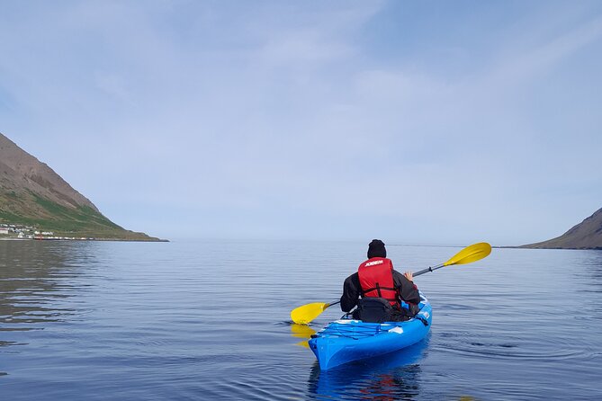 Private: Guided kayak tour in Siglufjörður / Siglufjordur. - Getting to Sigló Sea and why private pacing matters in Siglufjörður