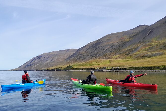 Private: Guided kayak tour in Siglufjörður / Siglufjordur. - Drysuit, PFD, boots, and the gear that keeps the day comfortable