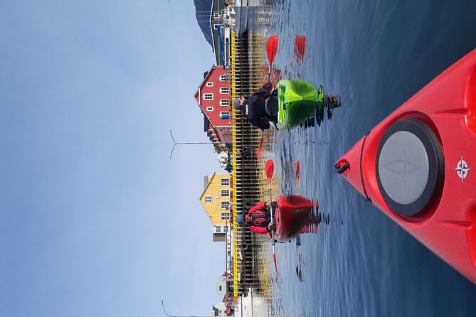 Private: Guided kayak tour in Siglufjörður / Siglufjordur. - After the paddle: debrief at Sigló Sea HQ and food ideas