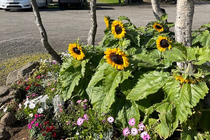 Private Guided Tour Golden Circle & Friðheimar Greenhouse Iceland - The 7-hour schedule, and how the timing really feels