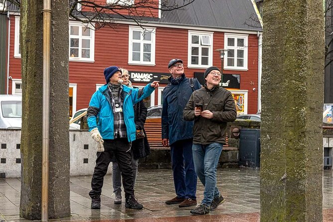 Private Icelandic Viking Age Walking Tour - A 2.5-hour Viking Age walk that fits real schedules