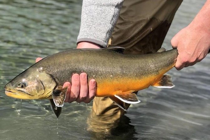Private Lake and River Fishing Tour from Reykjavik - Thingvellir National Park before the fishing starts