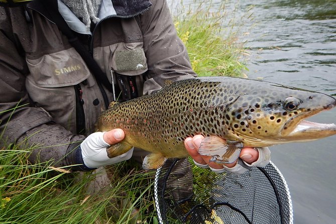 Private Lake and River Fishing Tour from Reykjavik - What to expect on a typical day (8 hours, early start, no rush)