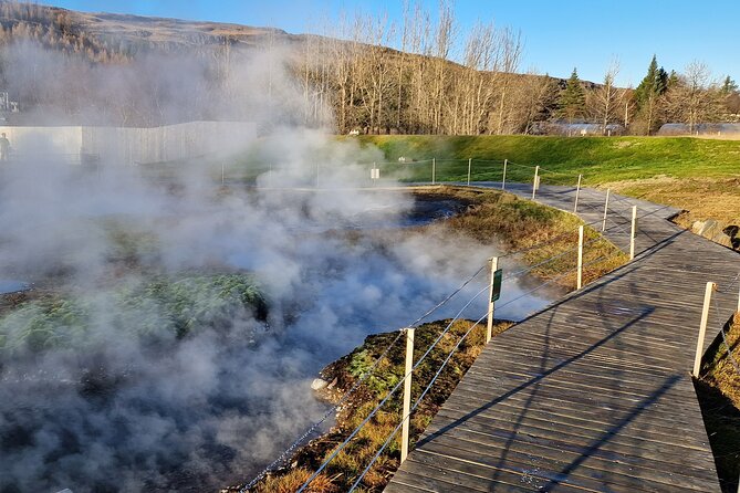 Private Northern Lights Adventure With Secret Lagoon and Dinner - Private Northern Lights, and why the Secret Lagoon changes the whole vibe