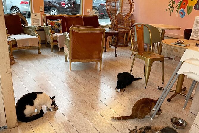 Private Reykjavik Cat Walking Tour - Finishing the loop: cat designs, Laugavegur, and Hallgrímskirkja