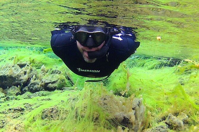Private Silfra Freedive Tour - Private group size, timing, and what 4 hours really means