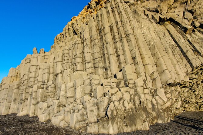 Private South Coast Tour with Katla Ice Cave - The lupine stop: purple bloom where black sand used to be