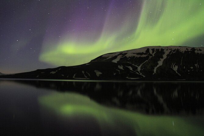 Private tour / Aurora Hunt - Northern Lights Super Jeep Tour - The main viewing moment: staring up is the whole point