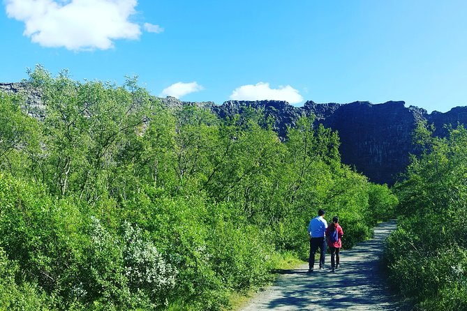 Private Tour in Northern Iceland from Akureyri - Skútustaðagígar and Viti Crater: Two Crater Stops, One Focused Theme