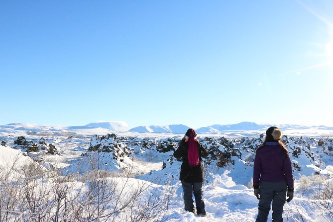 Private Tour in Northern Iceland from Akureyri - Price and Logistics for a Group of Up to Four