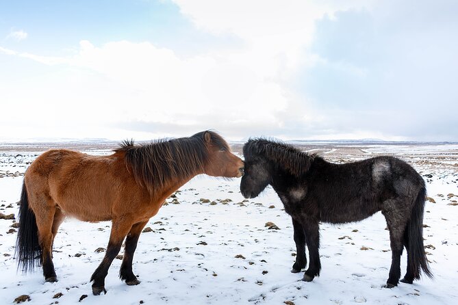 Private Tour Of The Golden Circle With Farm Visits In Iceland - Reykjavik pickup and a private day that keeps things sane