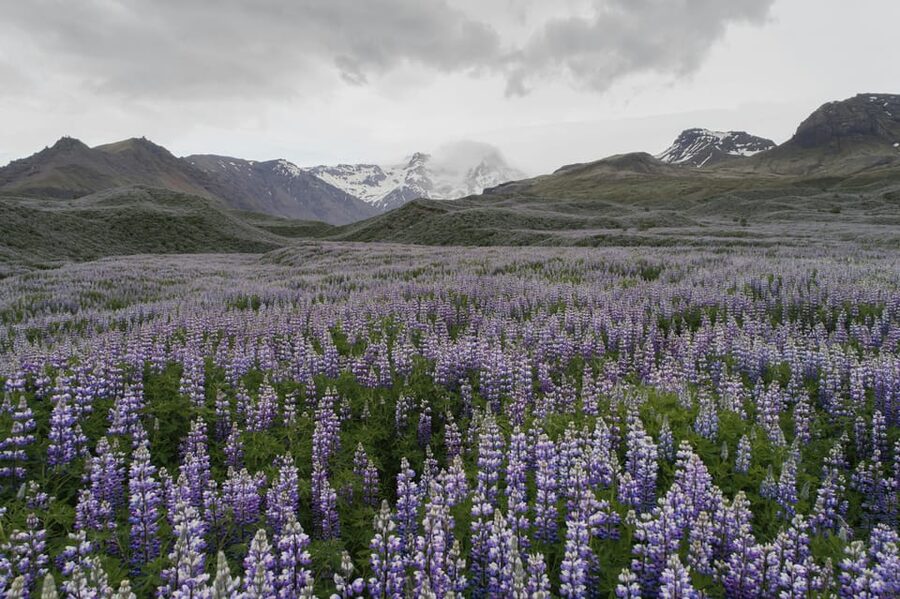 Private Tour to Landmannalaugar. Explore the Highlands - What to pack: your Landmannalaugar survival kit
