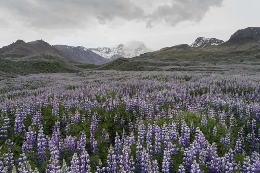 Private Tour to Landmannalaugar. Explore the Highlands - Your private van day, from Reykjavik or Hveragerði