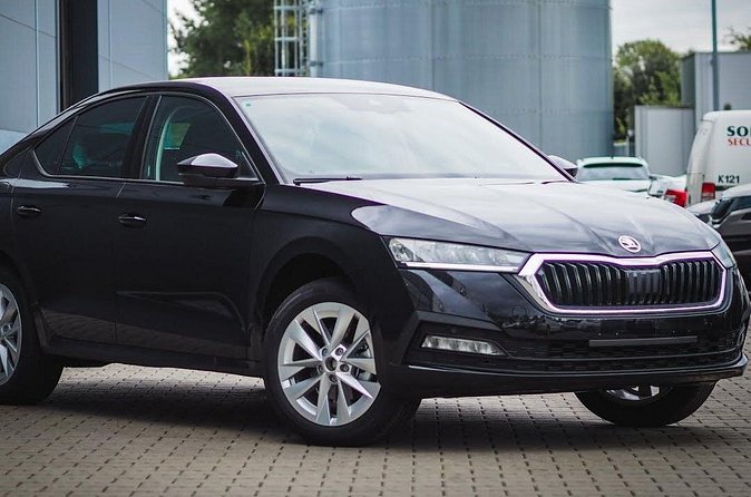 Private Transfer from Reykjavik to Reykjavik Airport KEF by Sedan - Who This Transfer Fits Best