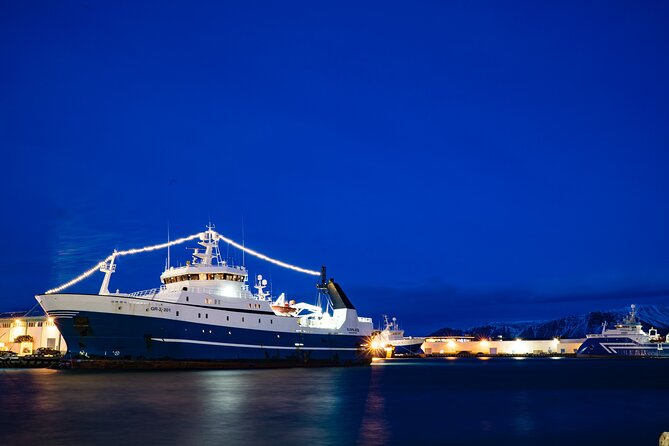 Private Transfer Service from Hotels in Reykjavik to Cruise Ship Terminal - Reykjavik cruise transfer in 15 minutes, with real door-to-door comfort