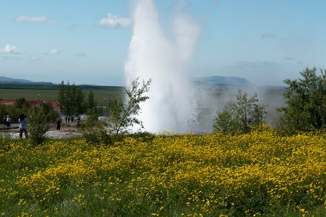 Private Visit Golden Circle Essentials - Comfort and onboard Wi-Fi: the small stuff that improves your Iceland day