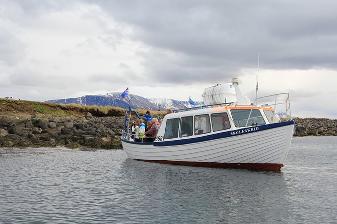 Puffin Cruise with Expert Tour Guide from Reykjavik - Geirsgata 11 Meeting Point and Picking the Best Departure Time