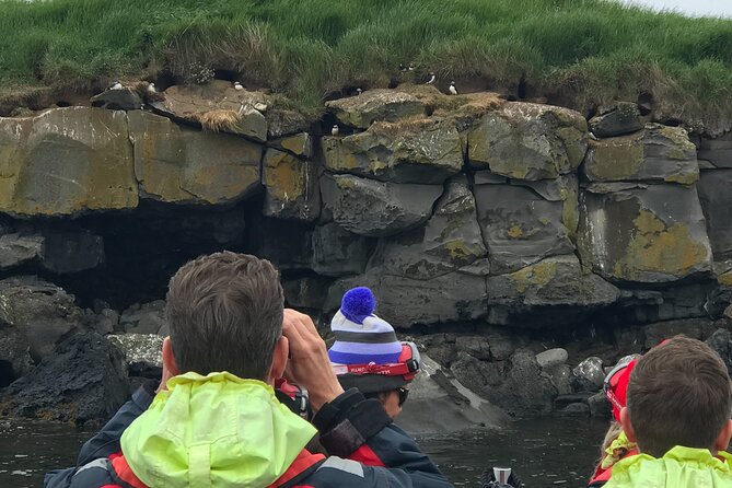 Puffin Watching Speedboat Express - Why the Engines-Off Moment Matters So Much