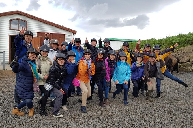 Red Lava Horse Riding Tour From Reykjavik - Icelandic horses and the tolt gait you can actually try