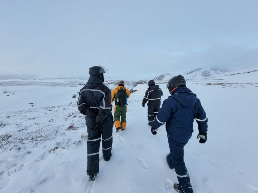 Reykjahlid: Snowmobile Adventure by Lake Mývatn - The ride itself: volcanic power, black lava, and clean winter air