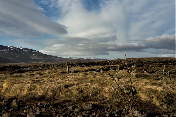 Reykjanes peninsula- Geopark and much more. Private tour - Bridge Between Continents at Sandvík, the plate-tectonics postcard with proof